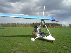 Obrázek